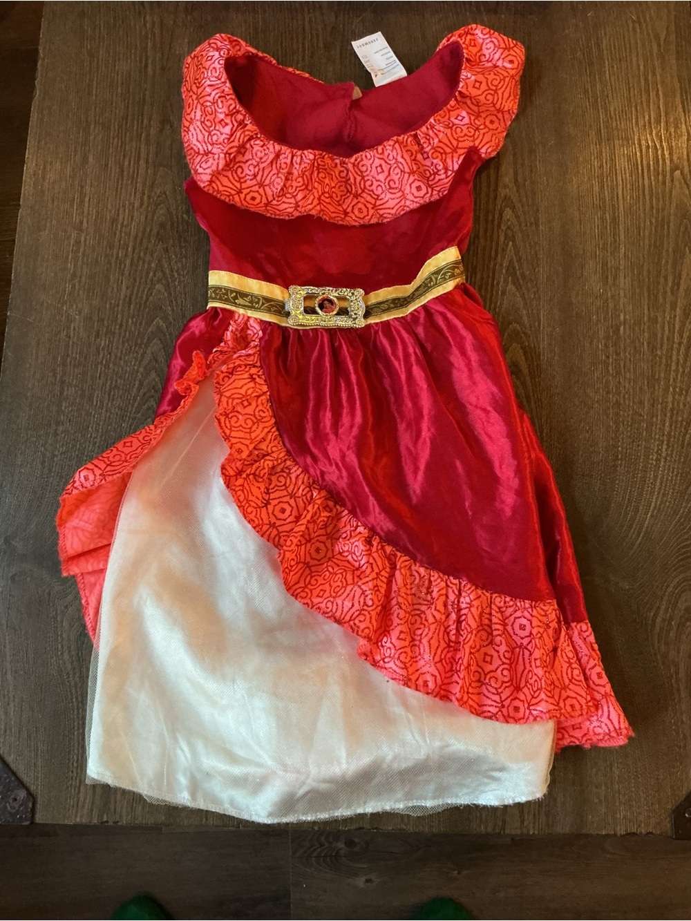Disney Elena of Avalor costume dress